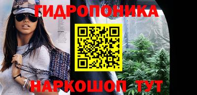 соль ск Дубна